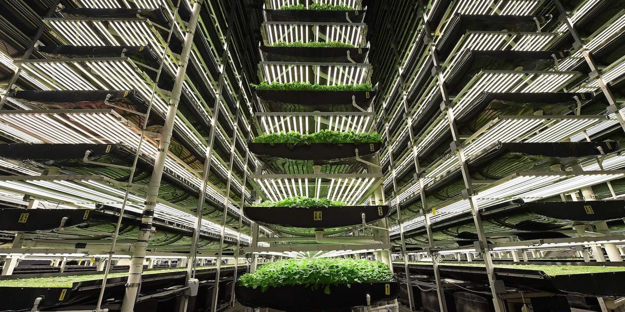 Indoor Farming